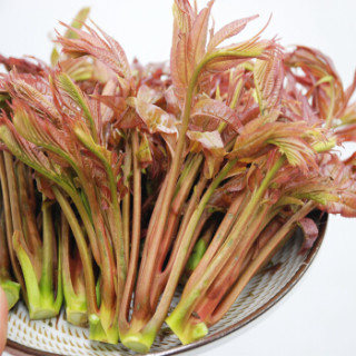 绿鲜知 香椿芽 150g