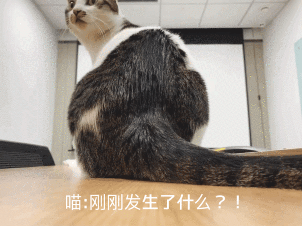 600_450gif 动态图 动图