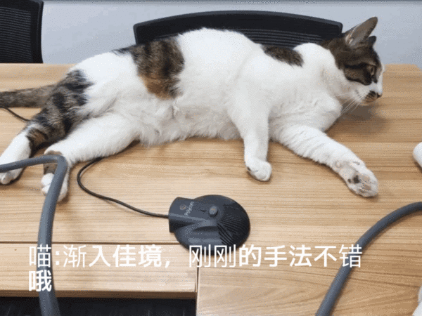 600_450gif 动态图 动图