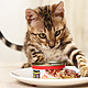 限地区：IRIS 爱丽思 多口味 美食猫罐头 100g*5罐
