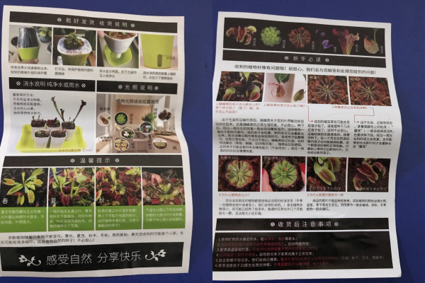 可以吃掉动物的恐怖植物