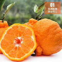 四川不知火丑橘 大果70-90mm 7斤