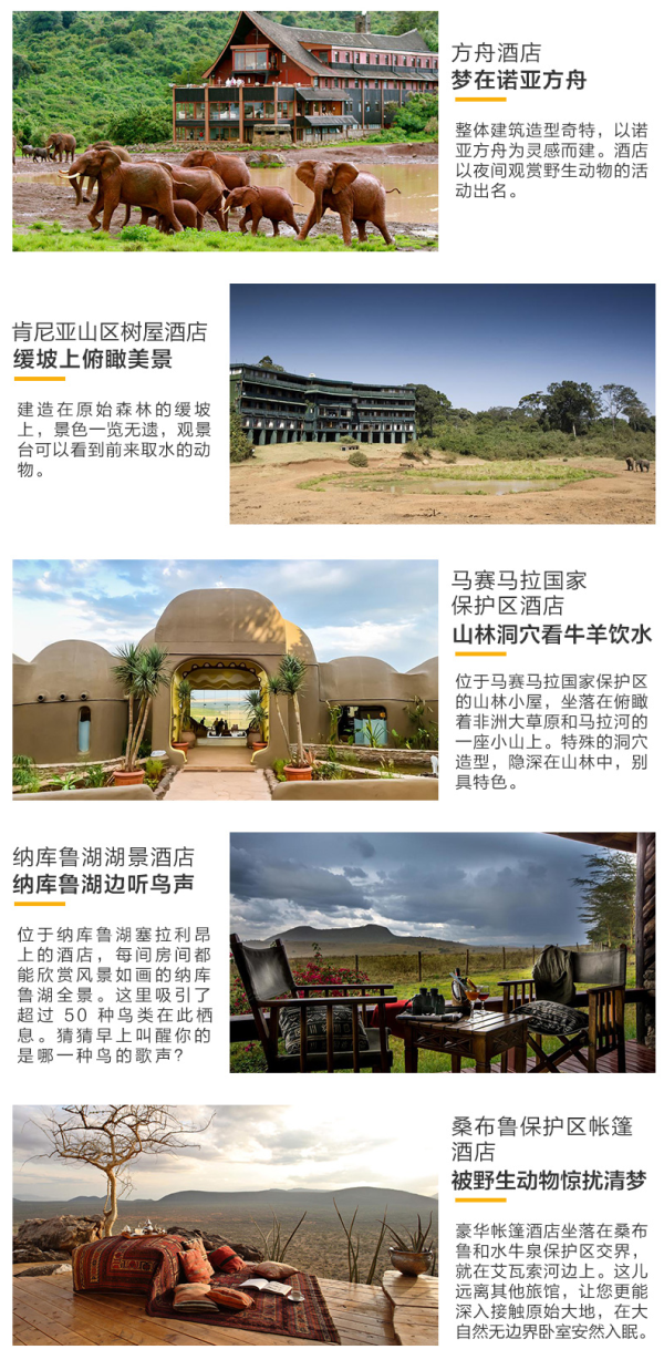走进非洲，多次猎游，全程特色酒店！上海-肯尼亚+坦桑尼亚10天8晚纯玩跟团游