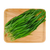 沱沱工社 有机韭菜 约200g 烧烤食材 新鲜蔬菜