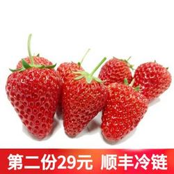 红颜奶油草莓约1.5斤