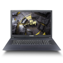 Hasee 神舟 战神 GX8-CT5DH 17.3英寸笔记本电脑（i5-9400、8GB、256GB+1TB、RTX2060 6GB、94%、120Hz）