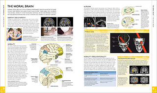 The Human Brain Book: An Illustrated Guide to its Structure, Function, and Disorders 精装