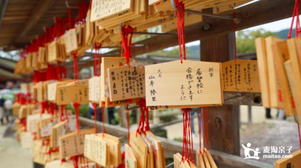 暑期夏令营！日本九州亲子文化6天研学游 日本小学生交流体验