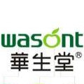 华生堂 wasont