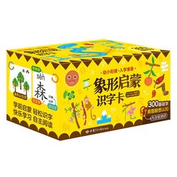 《象形启蒙识字卡》共300张