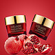 ESTEE LAUDER 雅诗兰黛 红石榴套装（日霜50ml+晚霜50ml）