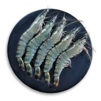 限地区：壹家壹站 活冻马来西亚黑虎虾 400g（19-20只） *3件