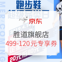 京东 YYsports/胜道运动旗舰店 超级品类日