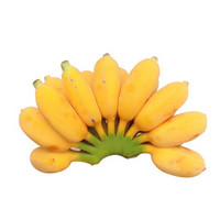 邻和 福建漳州苹果蕉2.5kg 小米蕉 香蕉 水果 5斤 每斤约6个左右