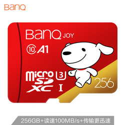 banq 256GB TF（MicroSD）存储卡 U3 C10 A1 4K V30 读速100MB/s行车记录仪监控内存卡