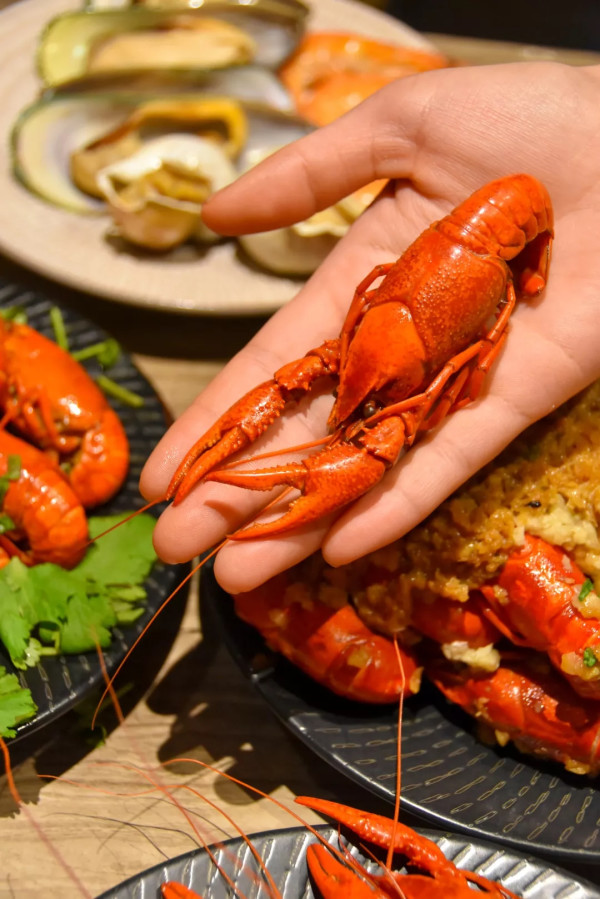 深夜食堂:5种口味小龙虾畅吃,抖音爆款铜锅牛蛙登场!上海五角场凯悦酒店小龙虾自助餐