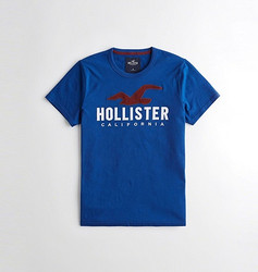 HOLLISTER 231704-1 男士LOGO印花T恤 *3件