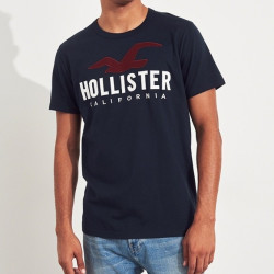 HOLLISTER  231704-1 男士LOGO 印花T恤