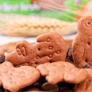 马来西亚进口 麦比客（MYBIZCUIT）巧克力味动物形饼干 儿童零食休闲食品 80g