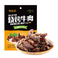 杨生记 烧烤牛肉 肉干肉脯牛肉片零食特产 40g/袋