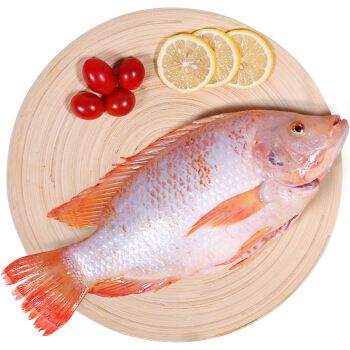 仙泉湖生态鲷鱼星洲红鱼500g