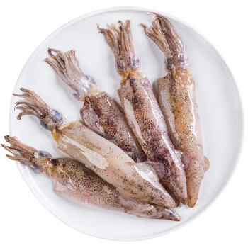 新鲜美味小鱿鱼