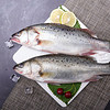 西南冷 鲈鱼片 10kg 大客户量贩装（整件） 海鲜水产