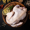 西南冷 冷冻土鸡 大客户量贩装 9.5kg 禽肉蛋品