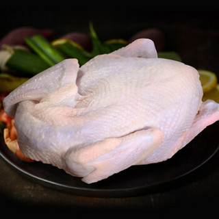 西南冷 冷冻湛江鸡（清远鸡）22kg 大客户量贩装 禽肉蛋品