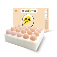 温氏鲜品 WENS 温氏 供港初产蛋 20枚礼盒装