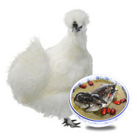 汪陂途 泰和白凤乌鸡 整鸡 600g/袋 散养160天