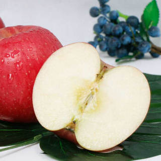 潘苹果  甘肃天水红富士苹果 12粒装 单果170-210g 净重4.5斤 新鲜水果
