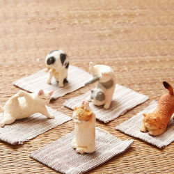 日本Union Creative·Animal Life猫瑜伽宝宝盲盒·5款选