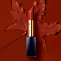 限地区：ESTEE LAUDER 雅诗兰黛 倾慕唇膏口红 3.5g #333干枫叶色 *2件 +凑单品