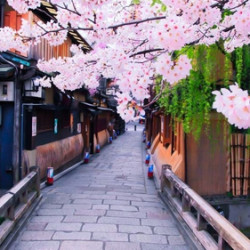重庆送签 日本个人旅游签证