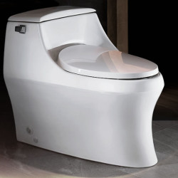 KOHLER 科勒 K-8688T 圣拉菲尔致尊款 连体座便器 305坑距 