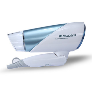FLYCO 飞科 FH6251 电吹风机