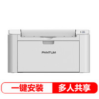 PANTUM 奔图 P2505N 黑白激光打印机