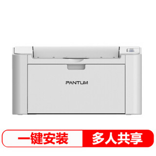 PANTUM 奔图 P2505N 黑白激光打印机