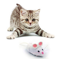 HEXBUG 赫宝宠物 玩具系列 猫之宠