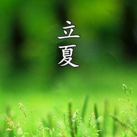 廿四食光—立夏：四时天气促相催，一夜薰风带暑来