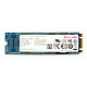 UNIC MEMORY 紫光存储 P100 M.2 SSD 固态硬盘 256GB