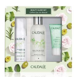 CAUDALIE 欧缇丽 皇后水三件套（皇后水100ml+洁面泡沫50ml+排毒面膜15ml）