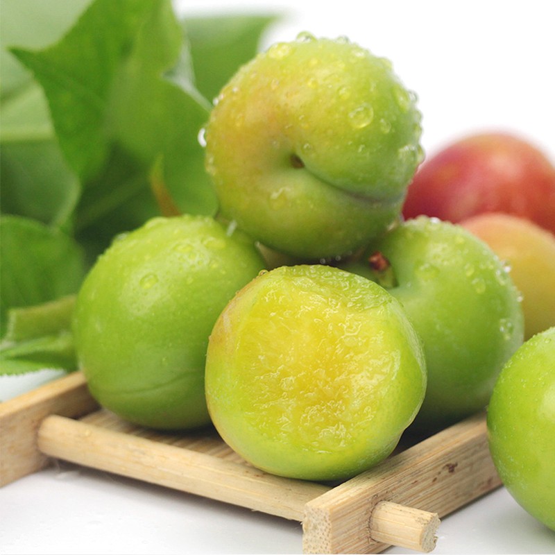 蔬农 新鲜青李子 5斤