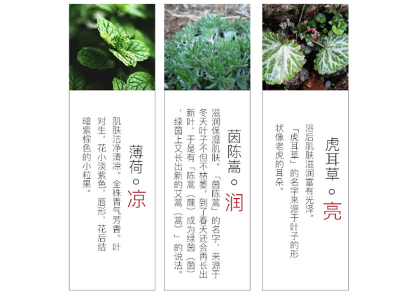 总算找到了可悠然替代款!Bathclin 巴斯克林沐浴露 600ml