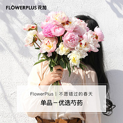 FlowerPlus 花加 芍药/睡莲/玫瑰 鲜花速递 10枝