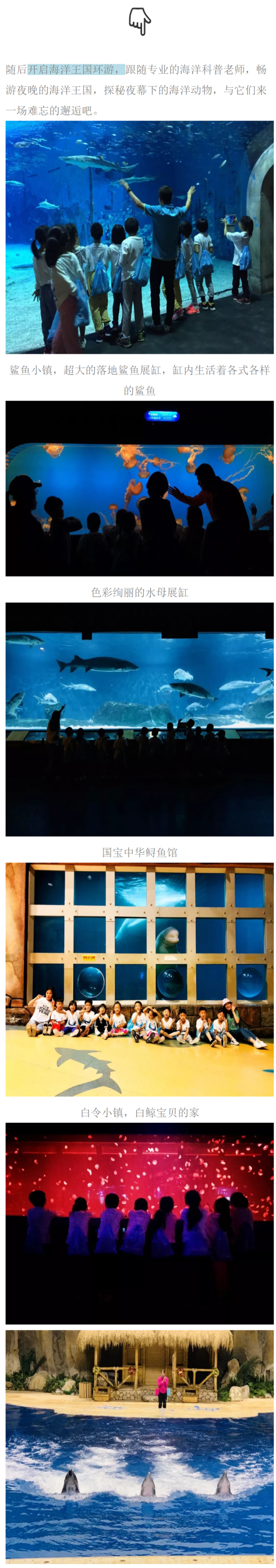 北京海洋馆夜宿营门票 可增订潜水活动