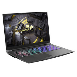  HASEE 神舟 战神 G7-CT7VK 17.3英寸游戏笔记本（i7-9750H、16GB、256GB+1TB、GTX1660Ti）