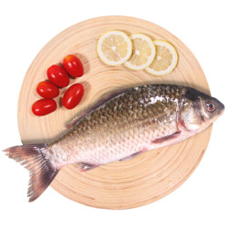 仙泉湖 生态鲫鱼300g *2件