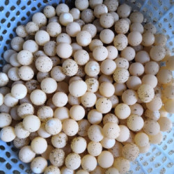 甲鱼蛋中华草龟蛋新鲜可食用蛋营养丰富100个装中华草龟蛋60枚